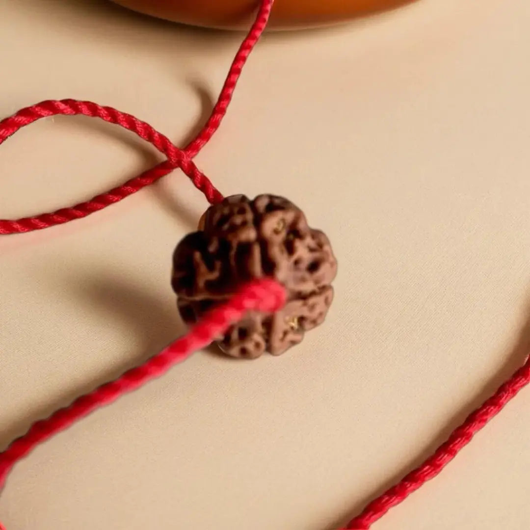 4 Mukhi Rudraksha – Nepal (With Thread)