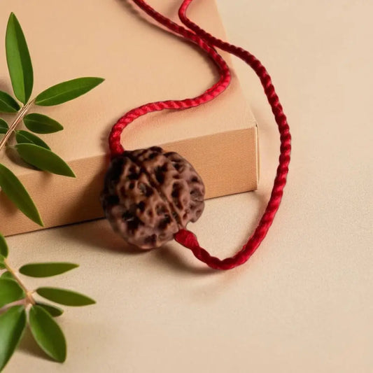 4 Mukhi Rudraksha – Nepal (With Thread)