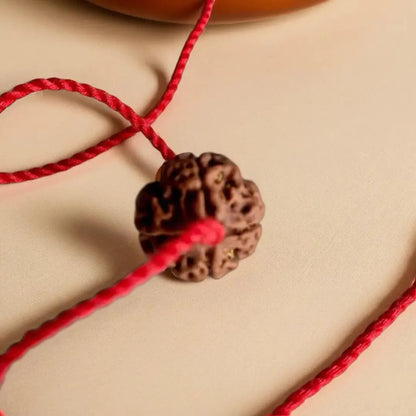 4 Mukhi Rudraksha – Nepal (With Thread)
