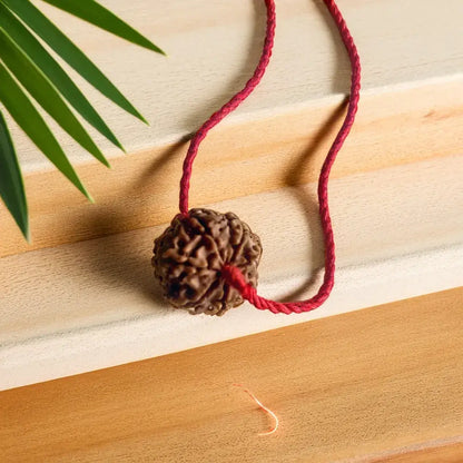 7 Mukhi Rudraksha – Nepal (With Thread)